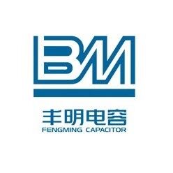 BM(丰明电容)